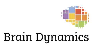 Brain Dynamics