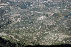 la vall d'albaida