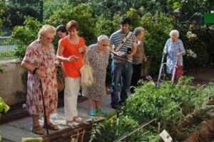 III edición del concurso "Decorando el Jardín" celebrado en las residencias de la Comunidad de Madrid